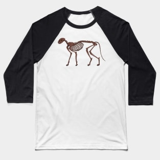 Cat Skeleton Fossilized Baseball T-Shirt